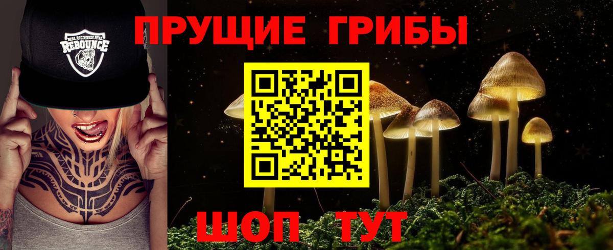 Галлюциногенные грибы MAGIC MUSHROOMS Сургут