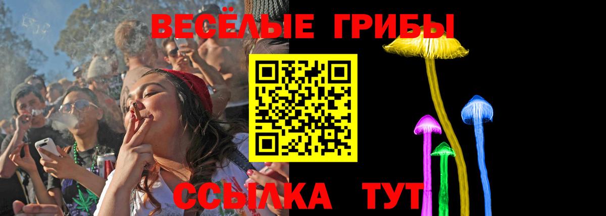Сургут  Псилоцибиновые грибы Cubensis  Вход с VPN  Галлюциногенные грибы прущие грибы 